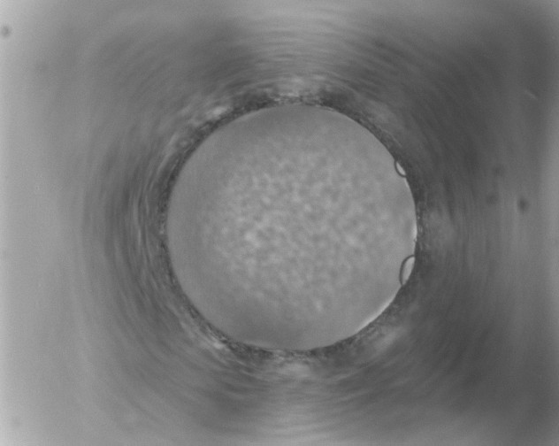 X0000052570913200507292002