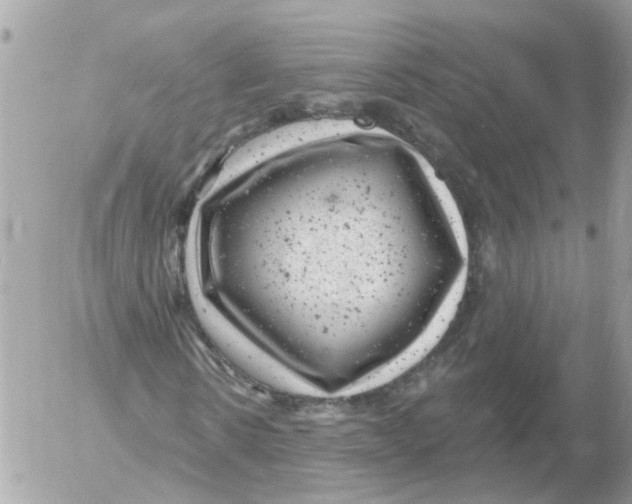 X0000052570914200507292002