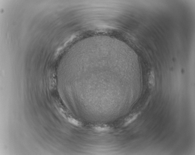 X0000052570916200507292002