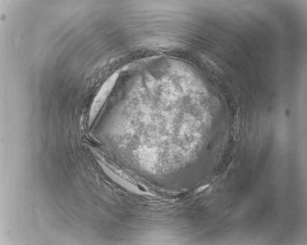 X0000052570917200507292002