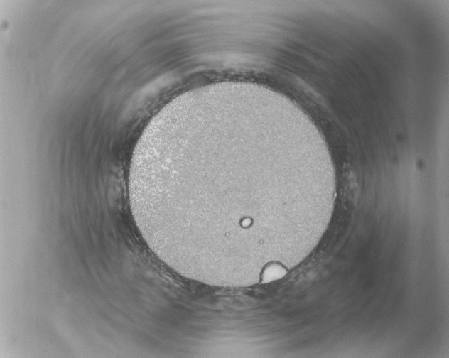 X0000052570918200507292002