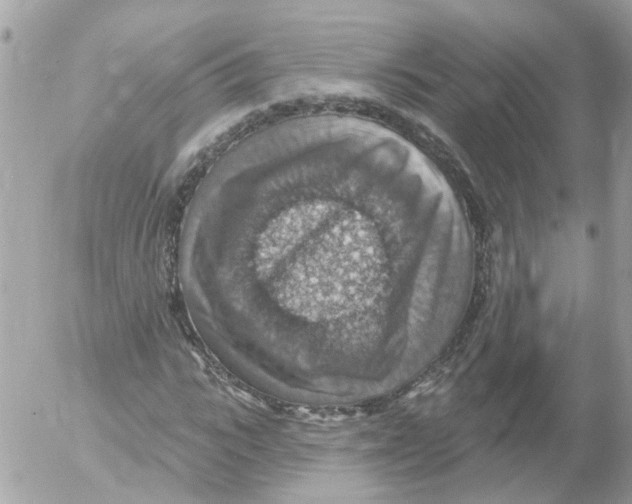 X0000052570919200507292002