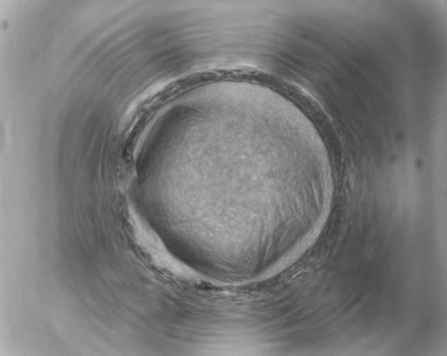 X0000052570920200507292002