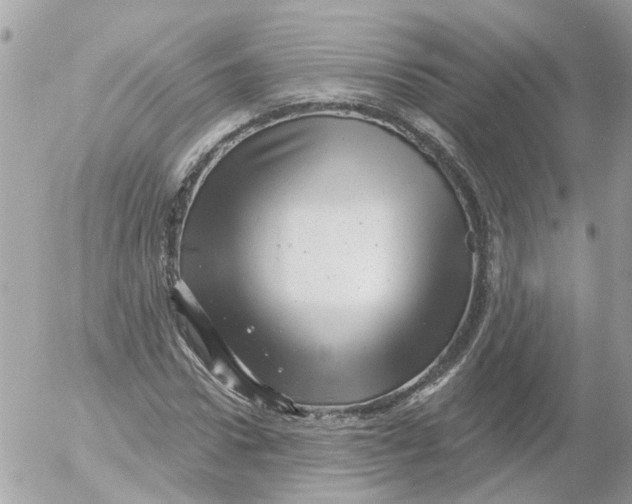 X0000052570922200507292002