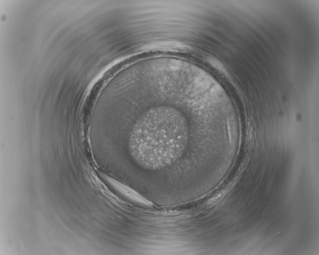 X0000052570923200507292002