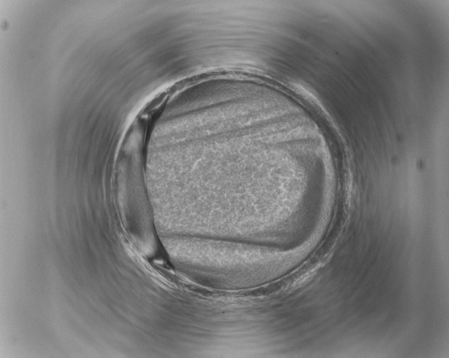 X0000052570924200507292002