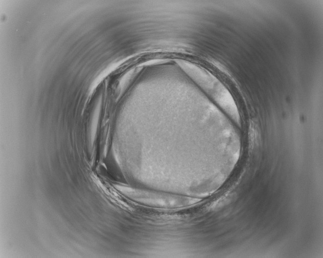 X0000052570925200507292002