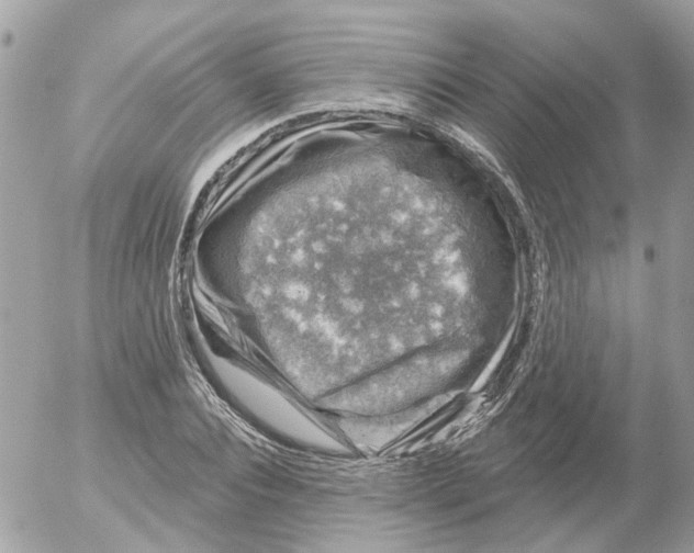 X0000052570928200507292002