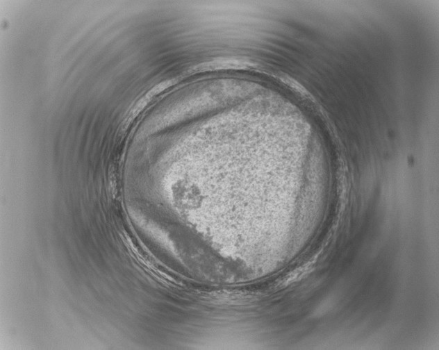 X0000052570929200507292002