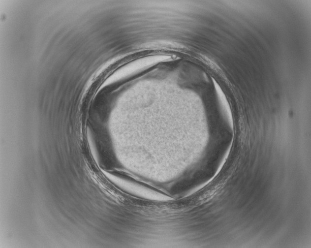 X0000052570931200507292002