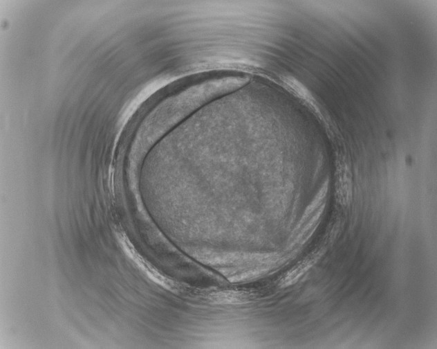 X0000052570932200507292002