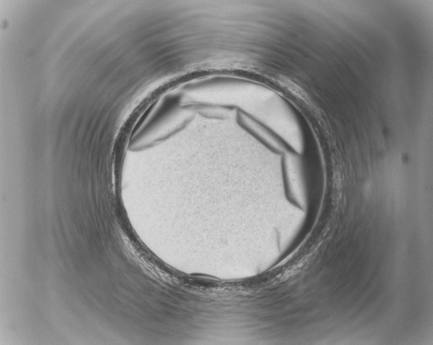 X0000052570934200507292003