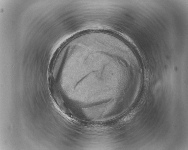 X0000052570935200507292003