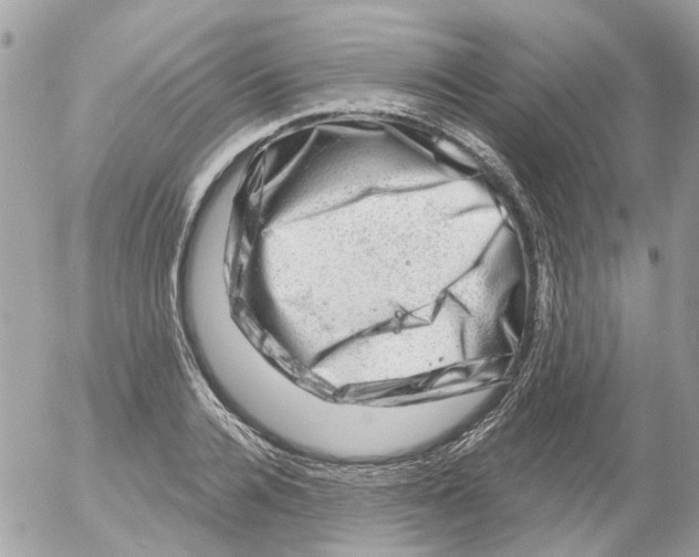 X0000052570936200507292003