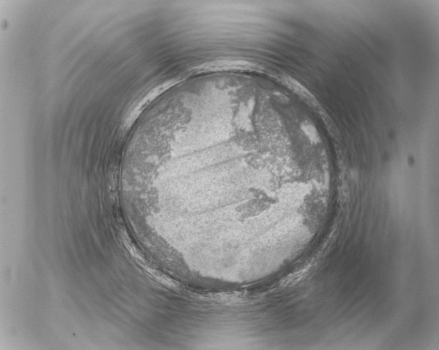 X0000052570937200507292003