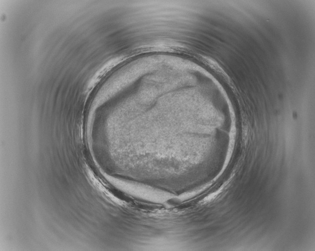 X0000052570938200507292003