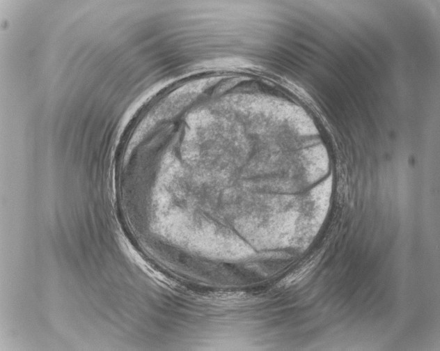 X0000052570939200507292003