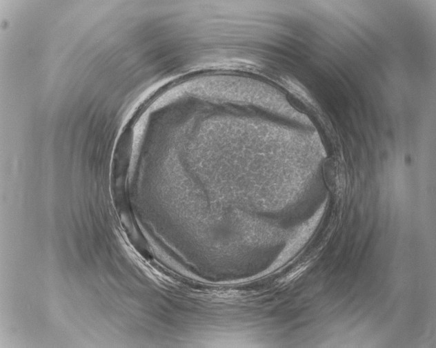 X0000052570940200507292003