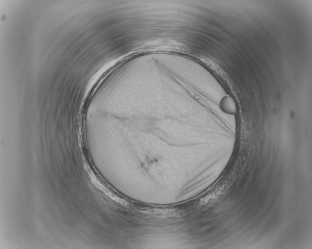 X0000052570941200507292003