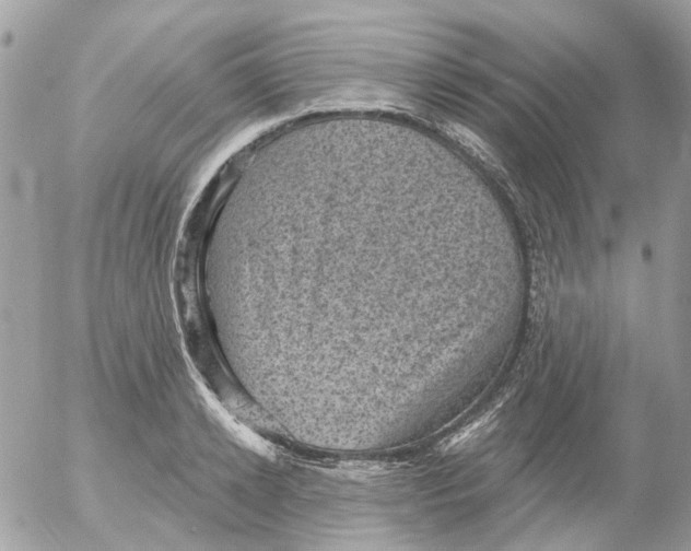 X0000052570942200507292003