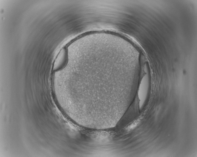 X0000052570943200507292003