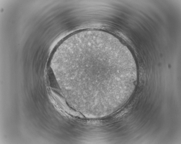 X0000052570944200507292003