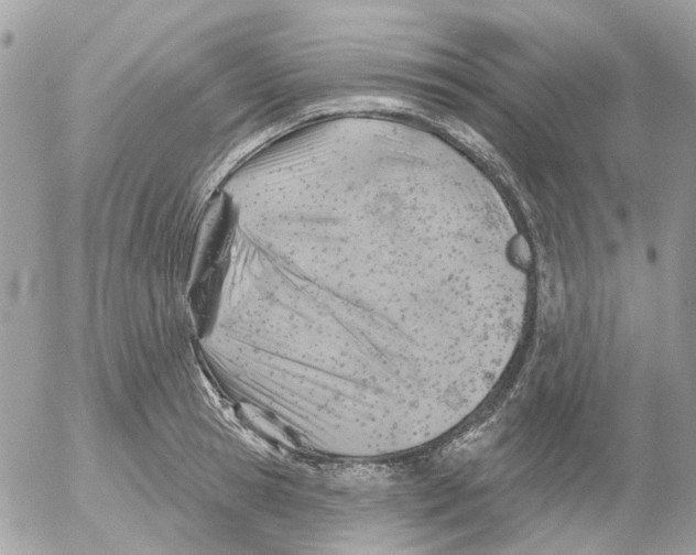 X0000052570945200507292003