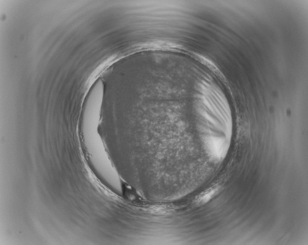 X0000052570946200507292003