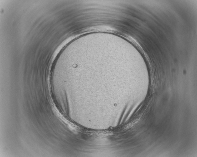 X0000052570947200507292003