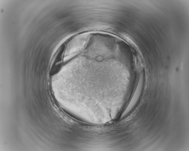 X0000052570948200507292003