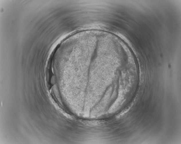 X0000052570949200507292003