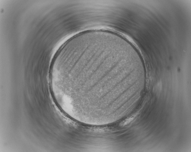 X0000052570951200507292003