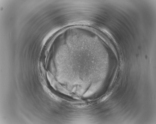 X0000052570952200507292003