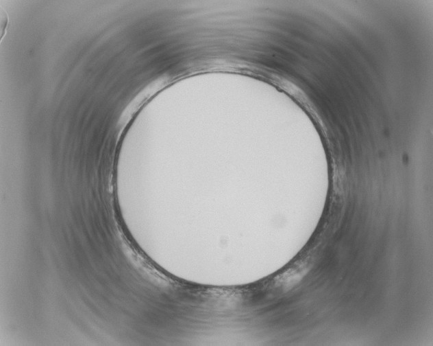 X0000052570954200507292003