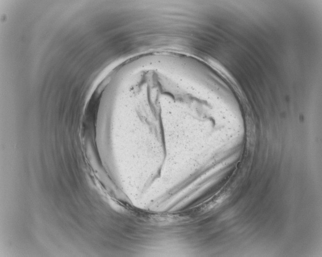 X0000052570956200507292003