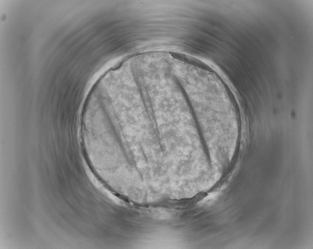 X0000052570957200507292003