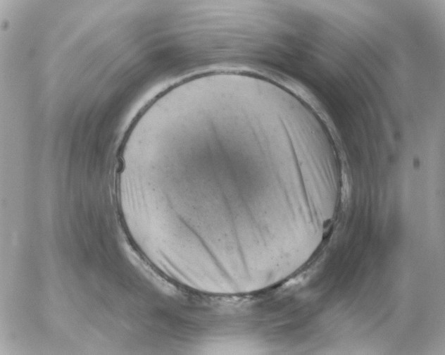 X0000052570958200507292003