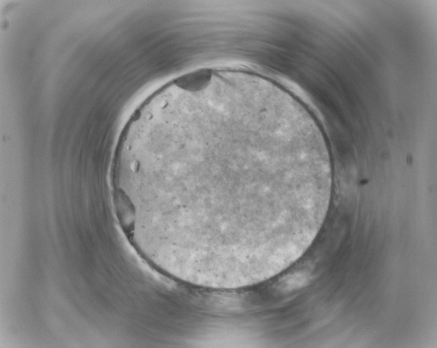 X0000052570959200507292003