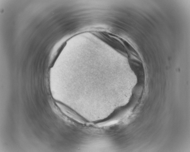 X0000052570960200507292003