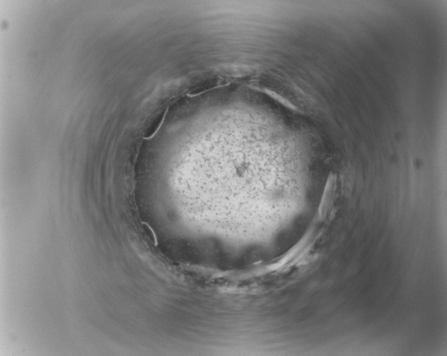 X0000052570961200507292002