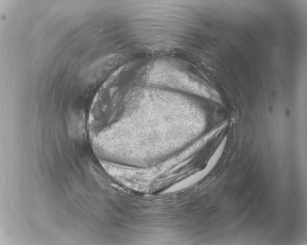 X0000052570963200507292002