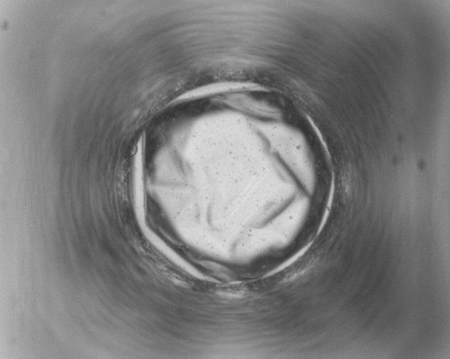 X0000052570964200507292002