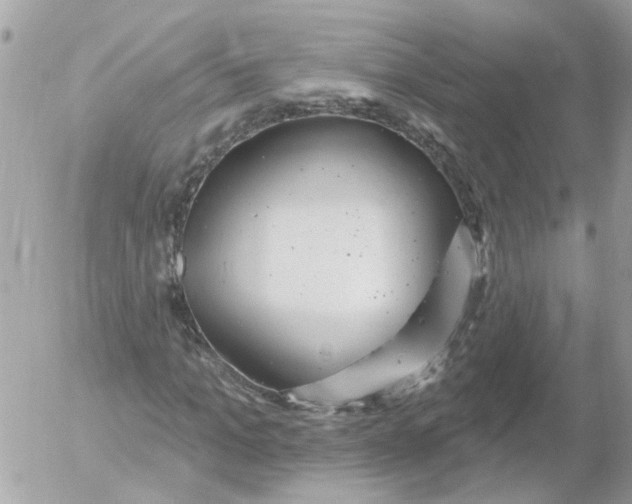 X0000052570965200507292002