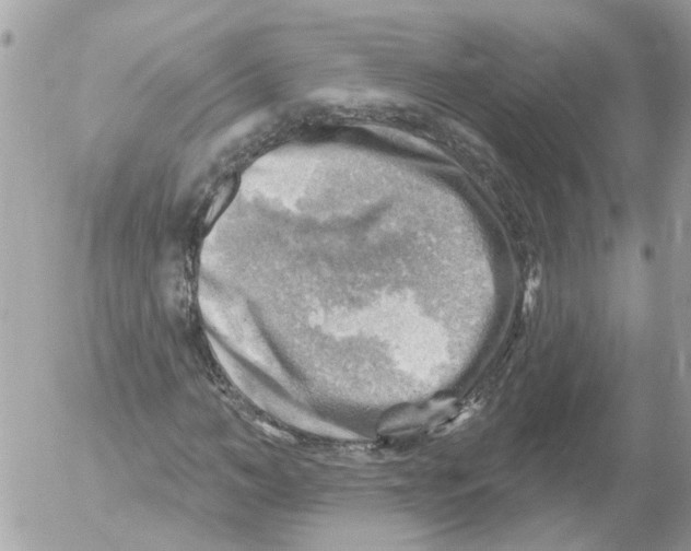 X0000052570966200507292002