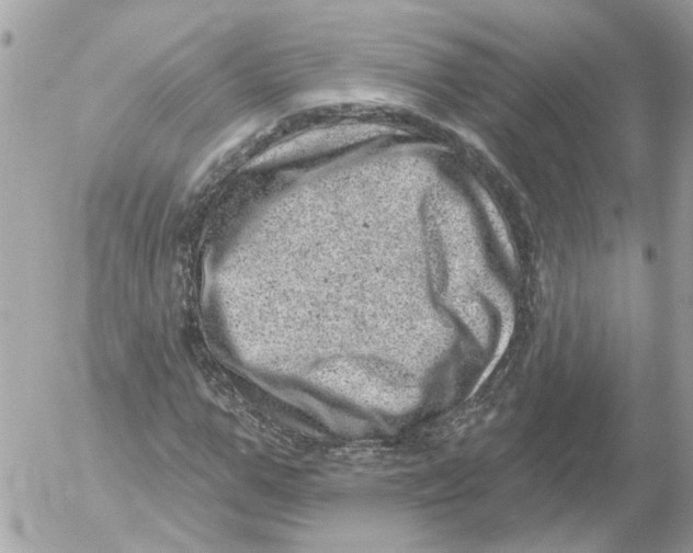 X0000052570967200507292002