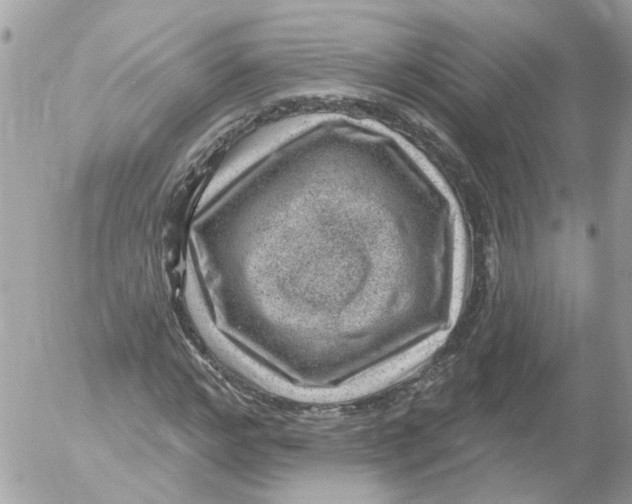 X0000052570968200507292002