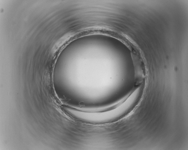 X0000052570969200507292002