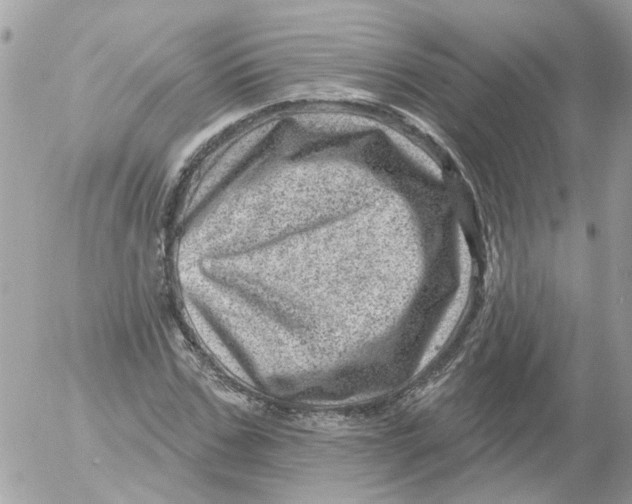 X0000052570971200507292002