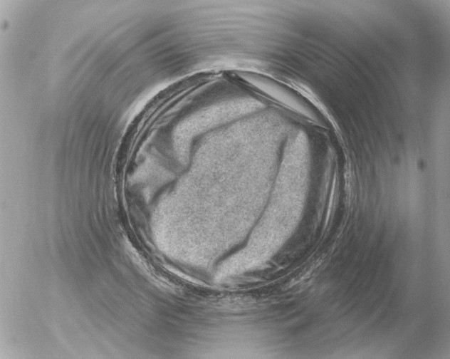 X0000052570972200507292002