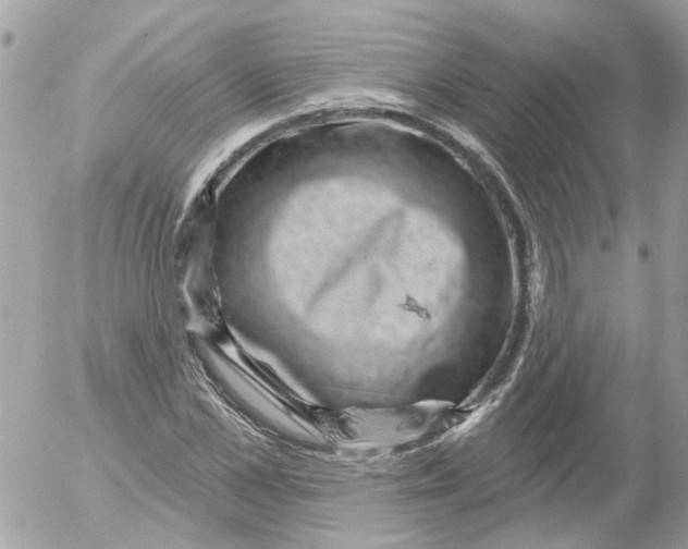 X0000052570973200507292002